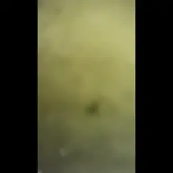 お料理動画