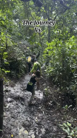 Journey vs the view
