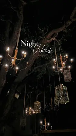 Night vibes 