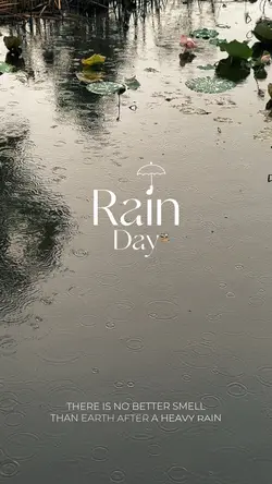 Rain day