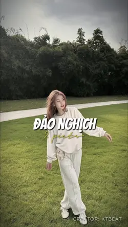 Đảo nghịch