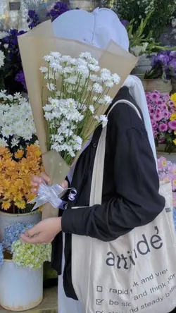clod|   مشاءالله