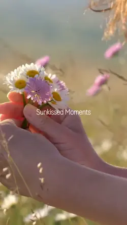 Sunkissed Moment