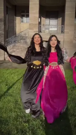 halay şablonss