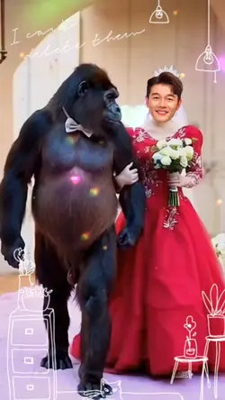 Ghép Vui 