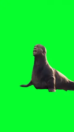 mountain dew seal