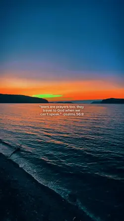 psalm 56:8