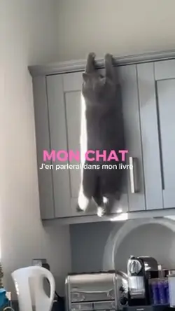 Mon chat