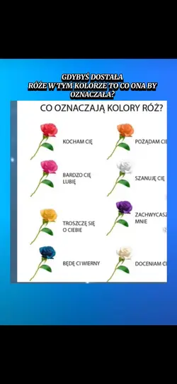 Kolor róży 