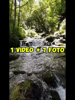 1 video 7 foto