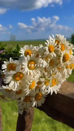 spring