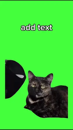 Batman chat 
