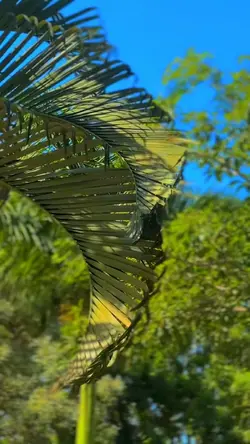 1 Klip • HD fokus