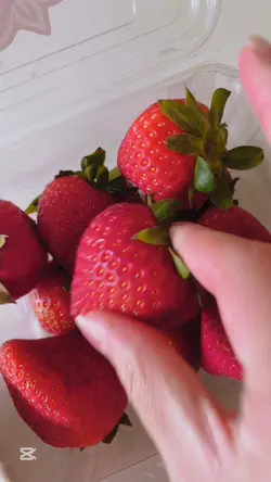 Chocolate Strawberry