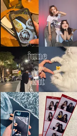 june so fat