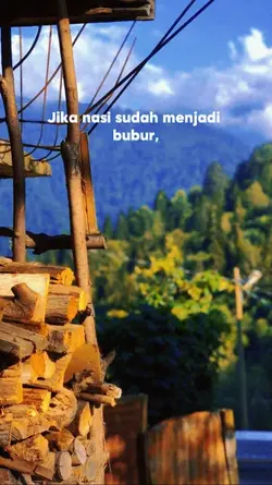 Nasi jadi bubur