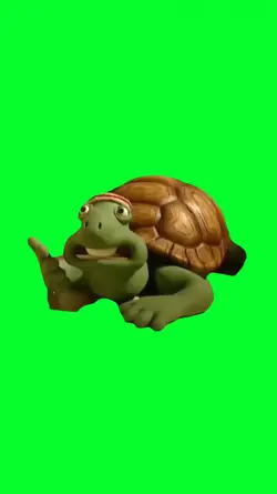 thinking turtle