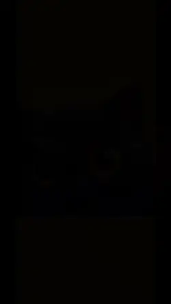 动态壁纸