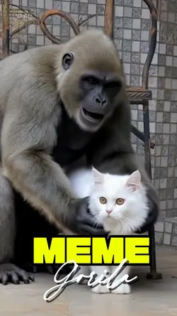 Meme Gorila 