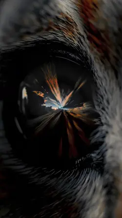 Infinite Zoom
