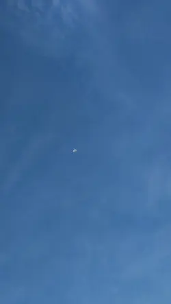 6 video
