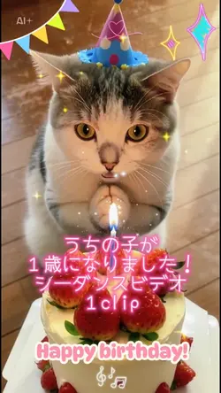 ペットさんの誕生日🎂🩷✨