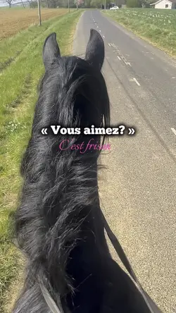 Vous aimez ?