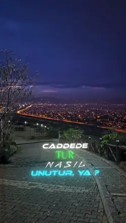 Viral Şablon