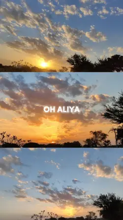 OH ALIYA | BRO MIE