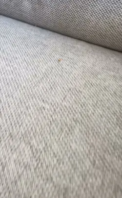 Cleaning sofa