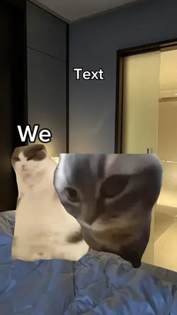 Dancing cat 2 cat 