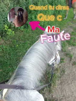 tu est belle