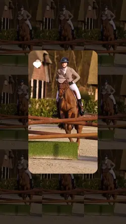 montado a caballo