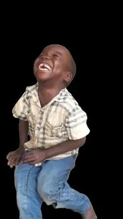funny memes 