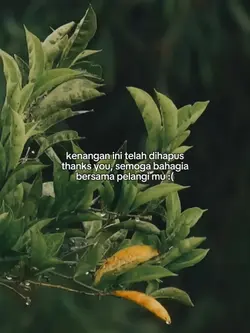 kenangan ini telah d