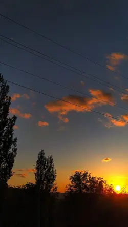 Roj çu ava