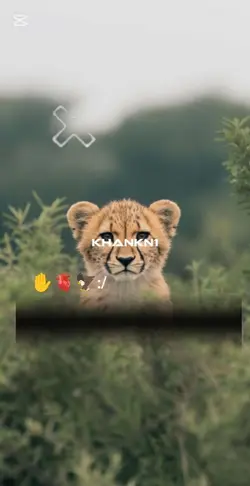 khankn1