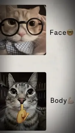 Face & body