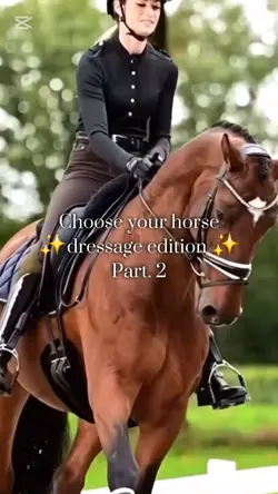 Choose your horse