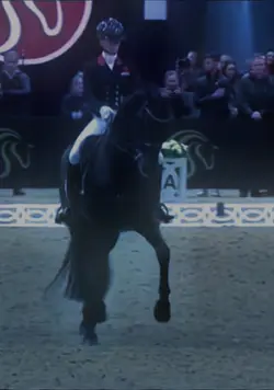 dressage 