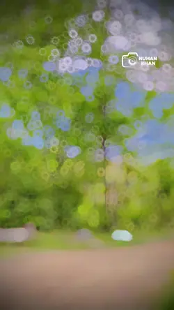 Slomo + pashto song