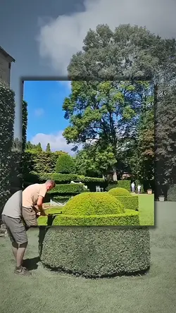 Gardening