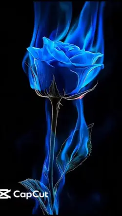 3Dwallpaper