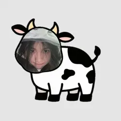 sapi kurban 