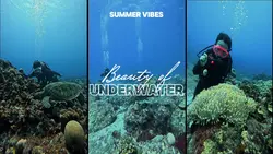 Summer underwater 