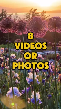 flowers vlog