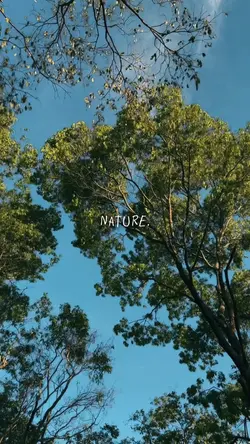 Nature 