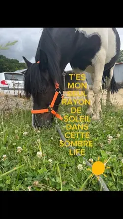 rayon de soleil 