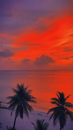 SUNSET VIBES