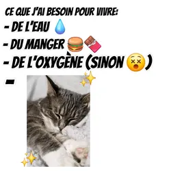 J’ai besoin de .....
